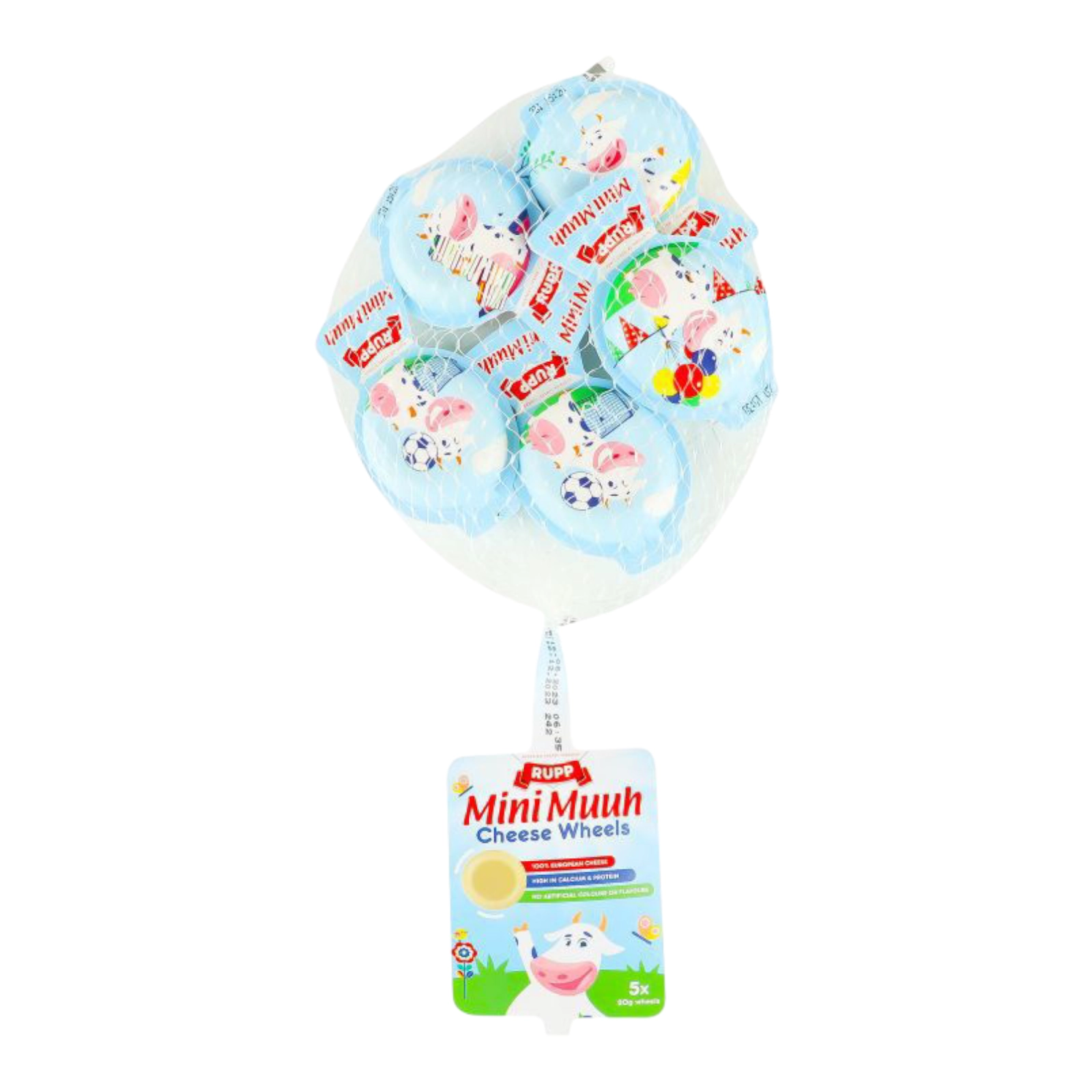 Сир в Сітці